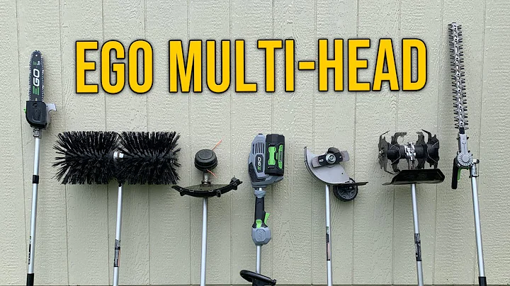 Is The Ego Multi-head System Worth The Hype?