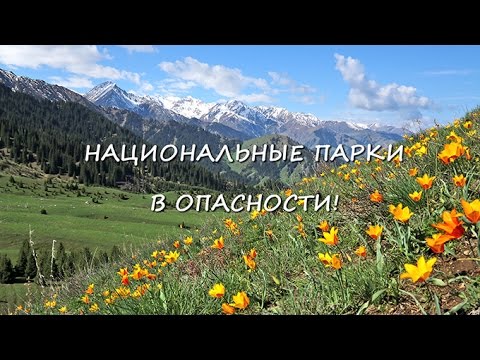 Национальные парки в опасности