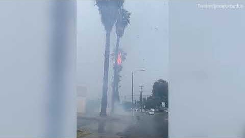 Storms pound BOTH coasts as woman and her two dogs die in lightning strike