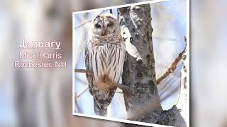 Winners of the 2026 NSB Scenic Photo Contest!