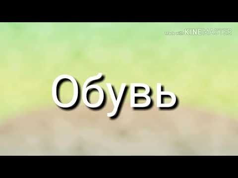 12 ноября 2019