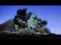 Mount St Helens Eruption
