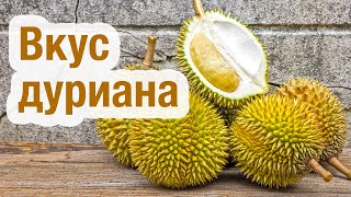 Вкус и запах дуриана