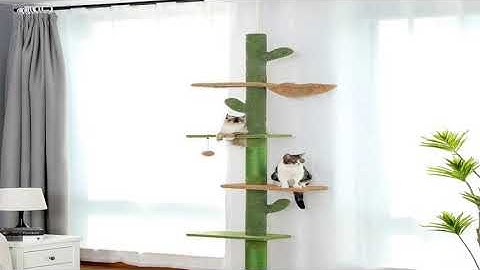 A must-have product! Cat Tree 5-Tier Floor to Ceiling Cat Tower Cactus Tall Climbing Tree with Scr
