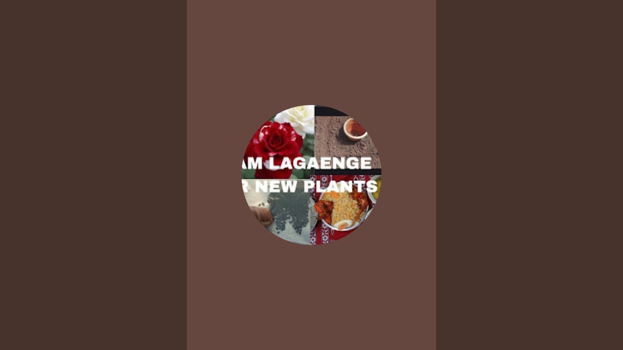 affan vlogs Happy days is#live assalam alaikum everyone welcome to my #live 🌹 friends 🌹 #like