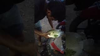 #fishing #menjaring #ikan #tembakang babon #shortvideo