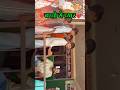 गौतम सर का बच्चों के प्रति प्यार 🥰 #shorts #trend #viralvideo #reels