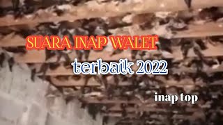 suara inap terbaik 2022 • inap top