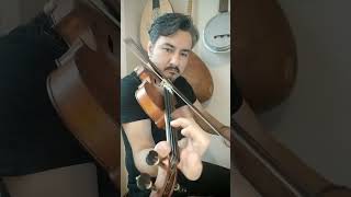 Dere Boyu Kavaklar (Keman)🎻