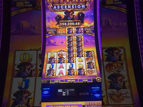 Spill Buffalo-tematisk Kasino på Nettenn: Finn Topp Bonuser og Spill