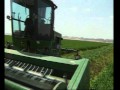 18 27 برنامج أرضنا الطيبة رسائل الزراعي Avi 