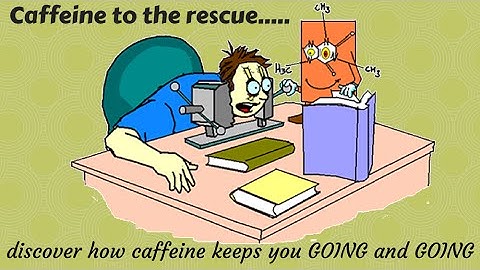 How caffeine keeps you awake