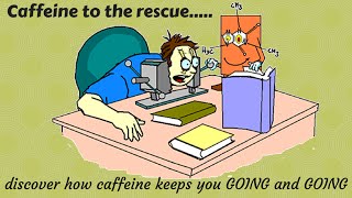 How caffeine keeps you awake