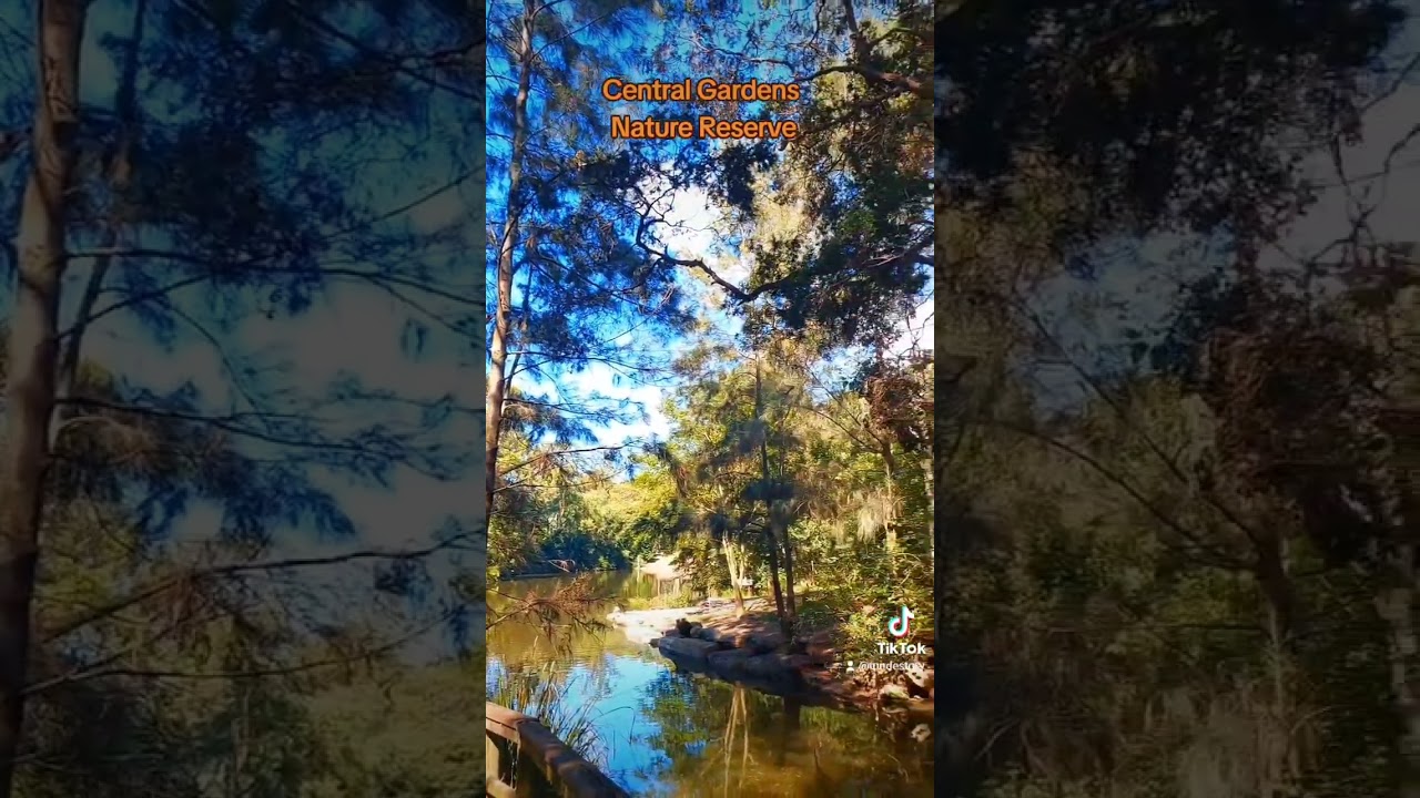 Central Gardens Nature Reserve, Merrylands