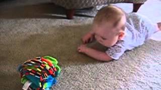 Kayleigh's Elephant Crawl