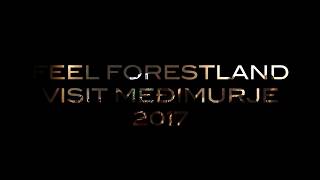 Forestland Festival 2017 - Teaser