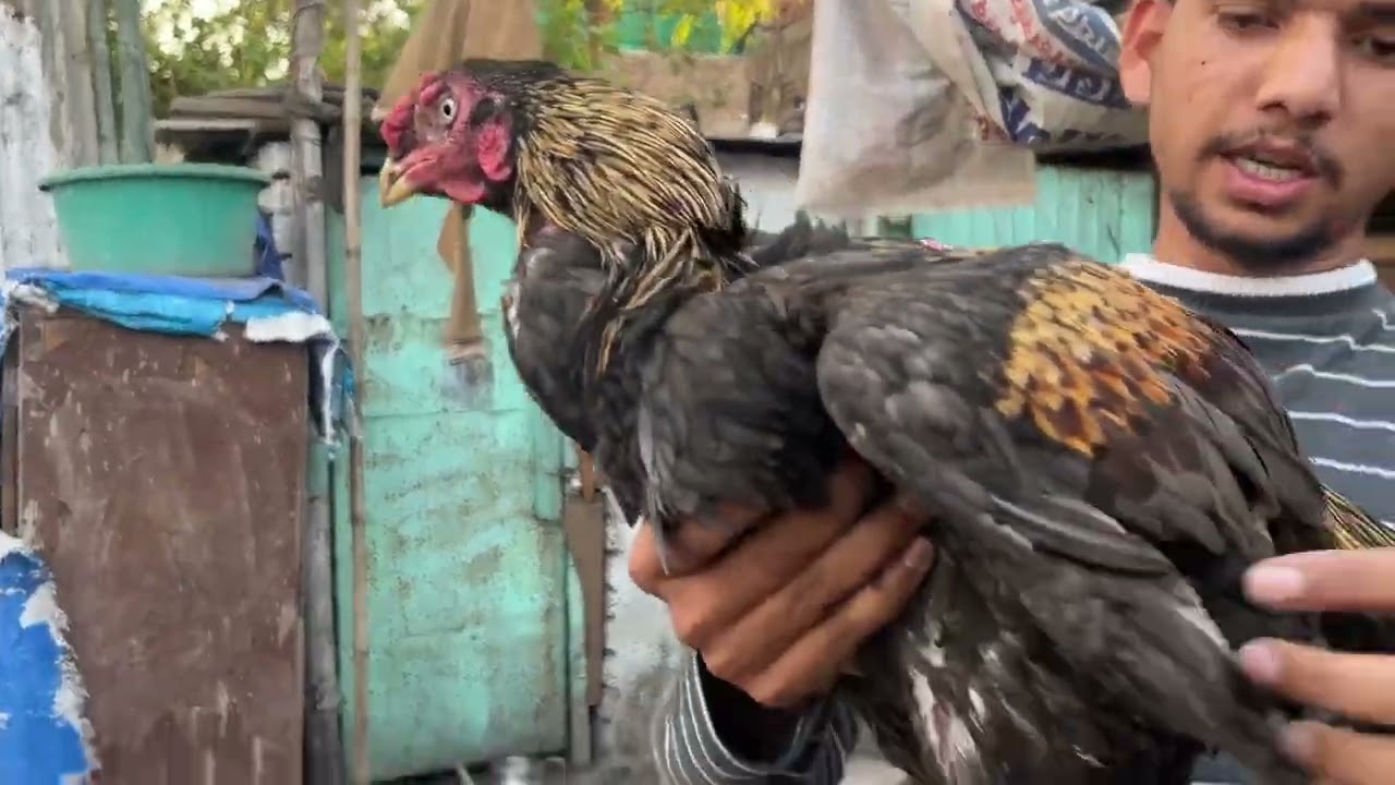 Ek naya farm visit kiya😍