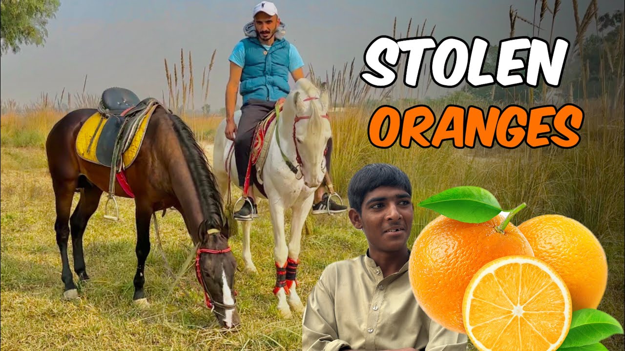 Chori Mehngi Parh Gai🤣 || Long Ride🐴 || Stolen ORANGE 🍊
