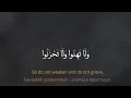 ولا تهنوا ولا تحزنوا وأنتم الأعلون إن كنتم مؤمنين #kuranıkerim #سورة_آل_عمران #quran #ماهر_المعيقلي