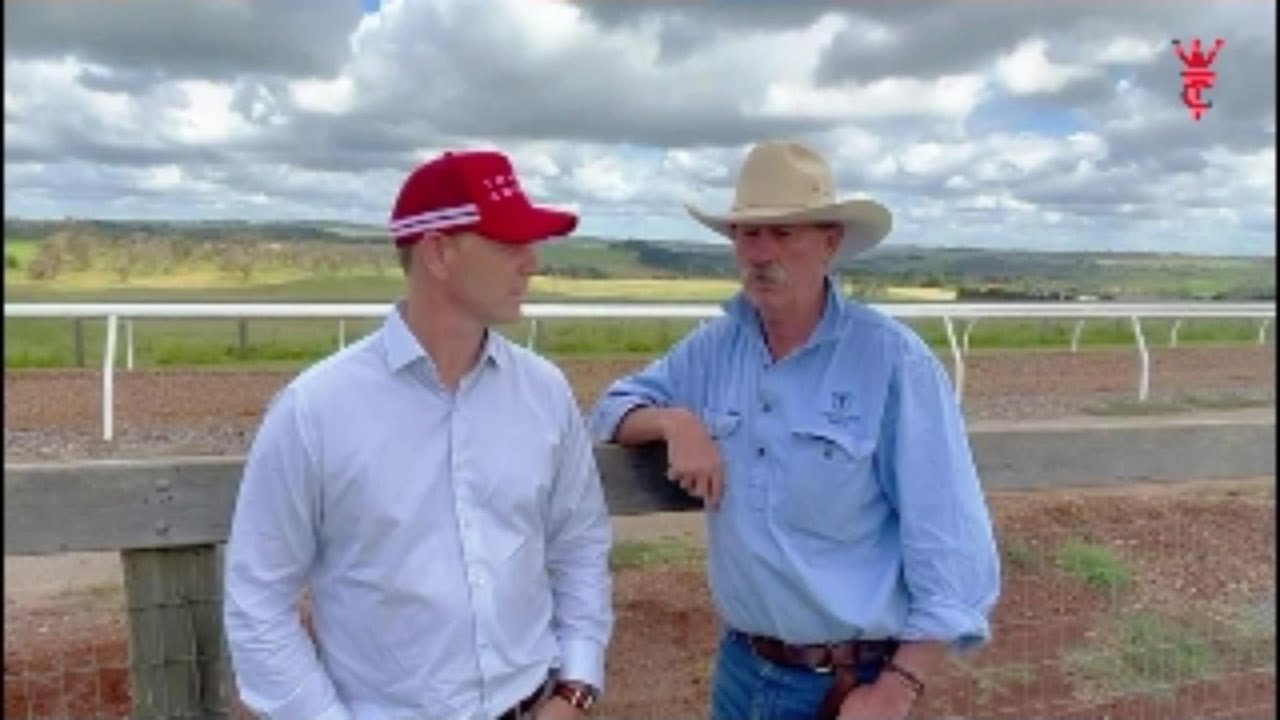 Capitalist x Golden Hooves (GB) Breaker's Report