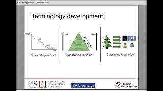 Cascading of woody biomass: definitions, policies and effects on international trade
