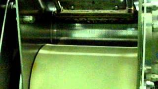 Baader 601 Separator - Boyd Food Machinery