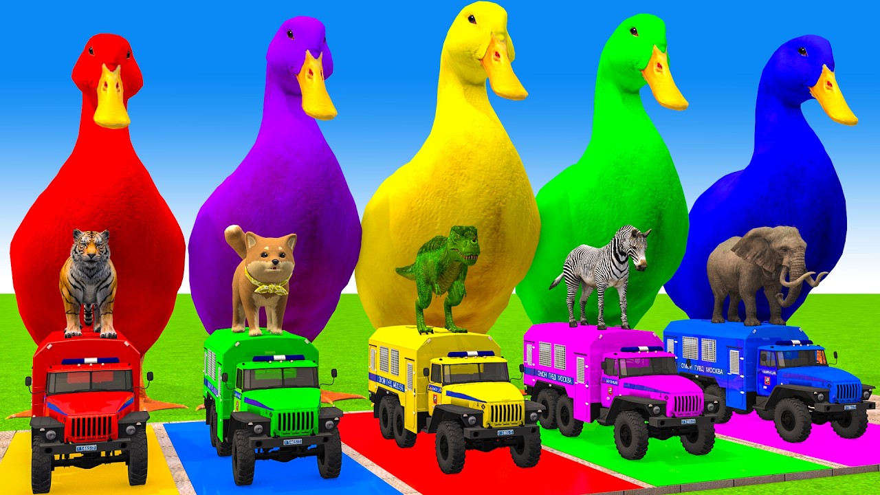 Long Slide Game With Cow Elephant Gorilla Hippopotamus Tiger 3d Animal Game Funny 3d Animals