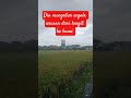 Dia mengatur segala urusan dari langit ke bumi #shortvideo #fypyoutube #quotes #katahatimotivasi #fg