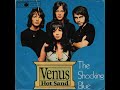 The Shocking Blue Venus Instrumental