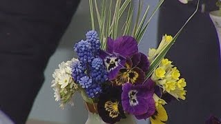 видео Раннецветущие растения. Хохлатка