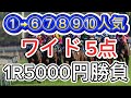 【競馬検証】1番人気→6〜10番人気ワイド各1000円ずつ勝負したら、儲かるのか！？