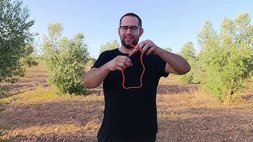 4G IK122T Hound GPS Training Collar Without Distance Limit Review in Spanish