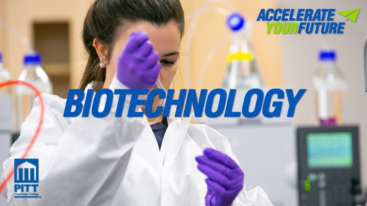 Biotechnology From class to internship to job YouTube