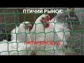 14.06.20. Птичий рынок г. Пятигорск ч2.Bird Market Pyatigorsk Part 2.