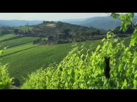 Video: Olvídese De Las Habas, Es Hora De Conocer El Chianti