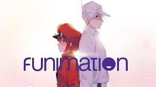 Top 10 Best Romance Anime on FUNIMATION!!