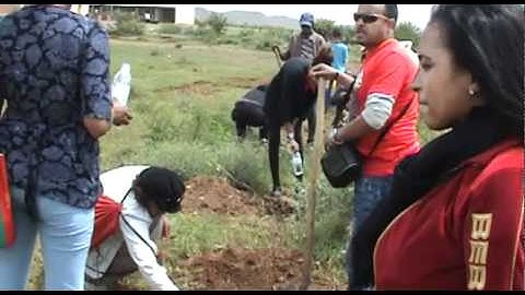 Ne Gereba project - The greening of Eritrea (eritrea2010.com)