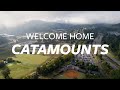 Welcome home catamounts