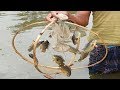 Believe This Fishing? Smart Boy Unique koi fish Trapping System- Fishing from Beautiful Pond