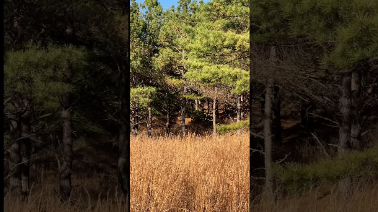 It’s been heck of a rabbit season so far! 2021