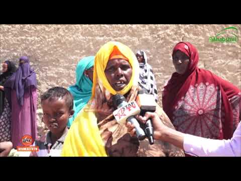 Dad Sheegay in Qoyska madaxweyne Biixi, Dhul ku haystaan