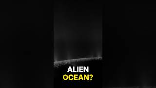 What If You Jumped Into the Ocean of Enceladus?