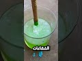 محاكمة البط