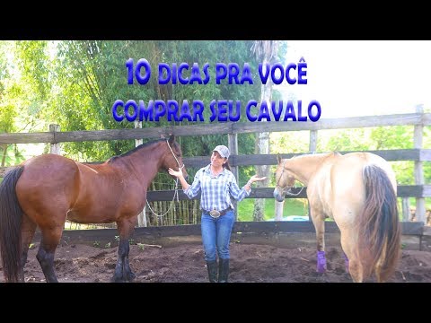 Vídeo: Você compraria um cavalo com pé torto?