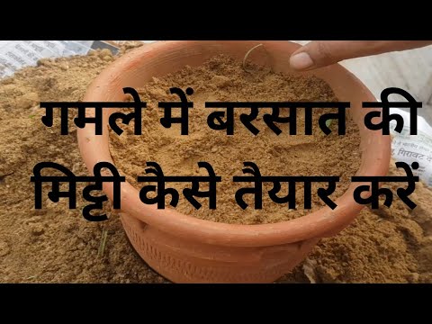 मानसून में गमले की मिट्टी कैसे बनाएं| मानसून टिप्स  | मिट्टी की गुणवत्ता कैसे बढ़ाएं🌧🌿🍃🌿🌧
