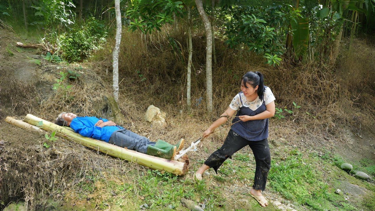 Homeless Single Mother: Saves an Old Woman in Critical Condition - Kindness & Wild Fruit Harvest