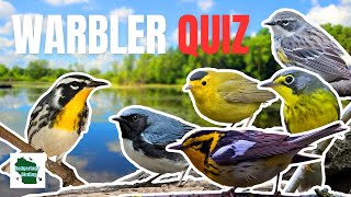 The Ultimate Eastern Warbler Song Quiz: Can you Get all 37 Correct