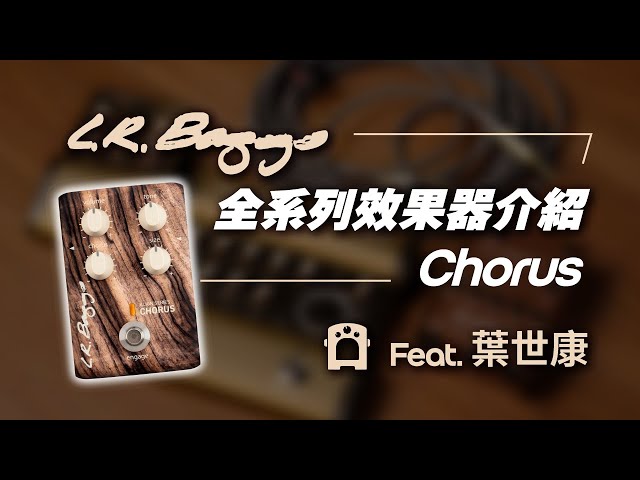 L.R.Baggs 全系列效果器介紹Ep.2】Align Chorus 木吉他和聲效果器