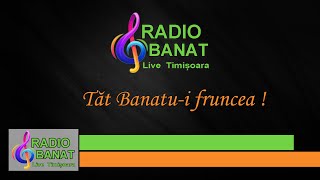 Radio Banat Live Timișoara FM 📻  La Radio Cu Dj Mihai 🎤🎧📻 screenshot 5