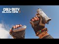 Call of Duty Black Ops 7 Weapon Inspect Animations 🎮